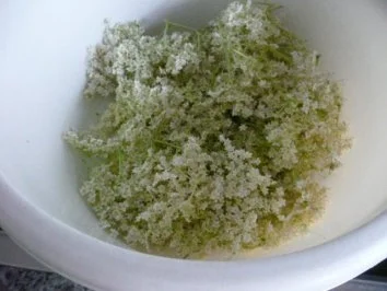 Rezept: EIS: HOLUNDERBLÜTEN-SORBET Bild Nr. 3 EIS: HOLUNDERBLÜTEN-SORBET - Rezept - Bild Nr. 3