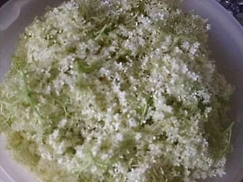 Rezept: Hollundergelee mit Orangensaft Hollundergelee mit Orangensaft - Rezept