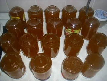 Rezept: Hollundergelee mit Orangensaft Bild Nr. 4 Hollundergelee mit Orangensaft - Rezept - Bild Nr. 4