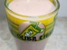 Erdbeer-Melone-Smootie - Rezept
