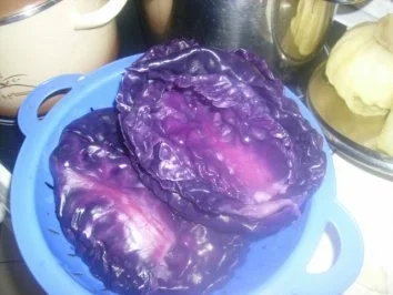 Rotkrautwickel mit Rinderfüllung - Rezept - Bild Nr. 3