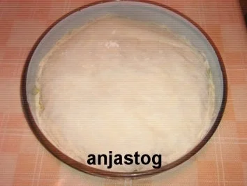 Rezept: Mangold Pita Bild Nr. 6 Mangold Pita - Rezept - Bild Nr. 6