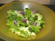 Blattsalat mit viel Kräutern                (Fotos) - Rezept