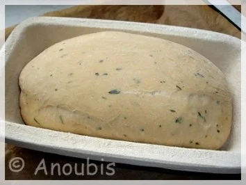 Rezept: Brot/Brötchen - Weissbrot mit Bärlauch Bild Nr. 3 Brot/Brötchen - Weissbrot mit Bärlauch - Rezept - Bild Nr. 3