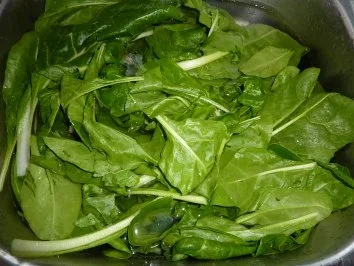 Rezept: Vegetarisch: Mangold mit Ei Bild Nr. 2 Vegetarisch: Mangold mit Ei - Rezept - Bild Nr. 2