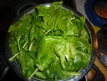 Rezept: Vegetarisch: Mangold mit Ei Bild Nr. 3 Vegetarisch: Mangold mit Ei - Rezept - Bild Nr. 3