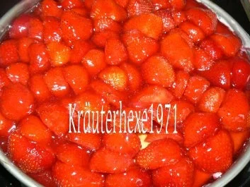 Endlich Sommer- Erdbeerzeit- Erdbeertorte a la Kräuterhexe - Rezept - Bild Nr. 2