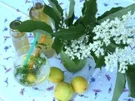 Holunderblüten Sirup - Rezept