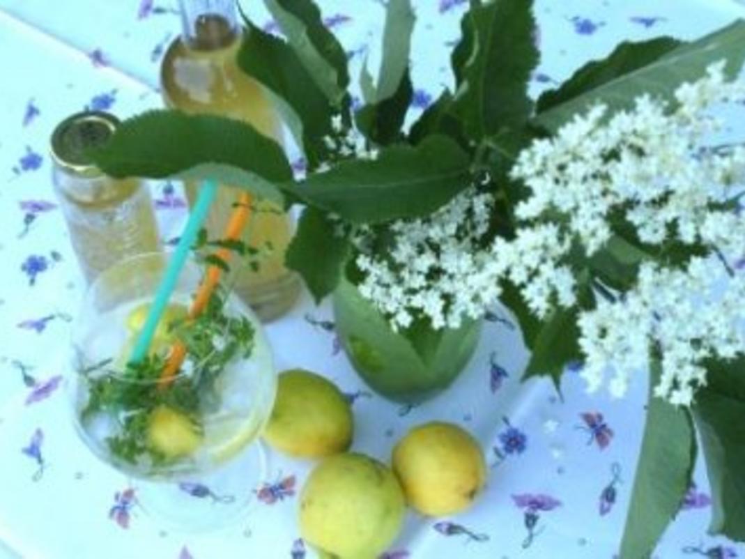 Holunderblüten Sirup - Rezept mit Bild - kochbar.de