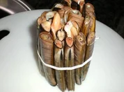 MEERESFRÜCHTE: Navajas/Logueirones Schwertmuscheln - Rezept