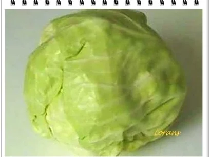 Weißkohl mit Hackfleischbällchen auf Kartoffeln-Bett - Rezept - Bild Nr. 4