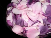 Rezept: Rosen-Gelee Rosen-Gelee - Rezept