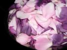 Rosen-Gelee - Rezept