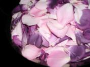 Rosen-Gelee - Rezept