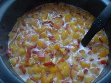 Rezept: Aprikosen-Nektarinen-Marmelade Bild Nr. 4 Aprikosen-Nektarinen-Marmelade - Rezept - Bild Nr. 4