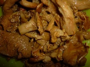 Rezept: Scharfe Ajvar-Pilzsauce an Tortellini mit gebratenen Auberginenscheiben Bild Nr. 3 Scharfe Ajvar-Pilzsauce an Tortellini mit gebratenen Auberginenscheiben - Rezept - Bild Nr. 3