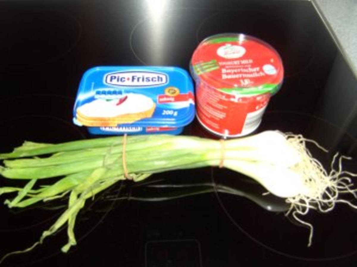 Frühlingszwiebel Dip - einfach - 162 kcal/100g Frühlingszwiebel Dip - einfach - 162 kcal/100g