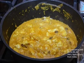 Mein Indisches Curry (mit Bildern und Raupi) - Rezept - Bild Nr. 3