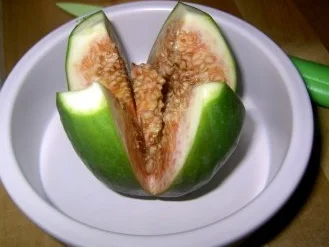 Rezept: Feigen, mit Ziegenfrischkäse überbacken Bild Nr. 3 Feigen, mit Ziegenfrischkäse überbacken - Rezept - Bild Nr. 3