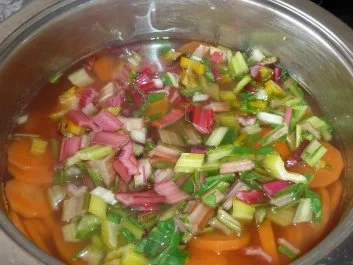 Rezept: Salate: Warmer Nudel- Möhren- Mangoldsalat Bild Nr. 5 Salate: Warmer Nudel- Möhren- Mangoldsalat - Rezept - Bild Nr. 5