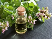 Oregano-Öl - Rezept - Bild Nr. 2