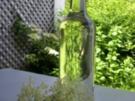 Holunderblütenschnaps - Rezept