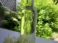 Holunderblütenschnaps - Rezept - Bild Nr. 2