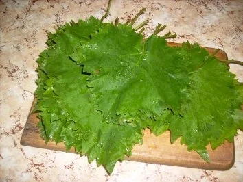 Weinblattrouladen - Rezept