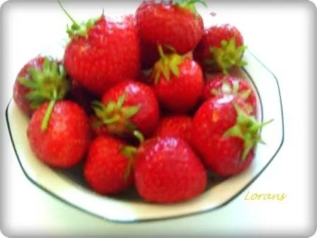 WM  2010 :  Erdbeeren - Kefir  Cocktail - Rezept - Bild Nr. 5