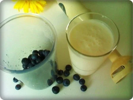 Rezept: WM 2010 : Johannisbeeren - Kefir Cocktail Bild Nr. 6 WM 2010 : Johannisbeeren - Kefir Cocktail - Rezept - Bild Nr. 6