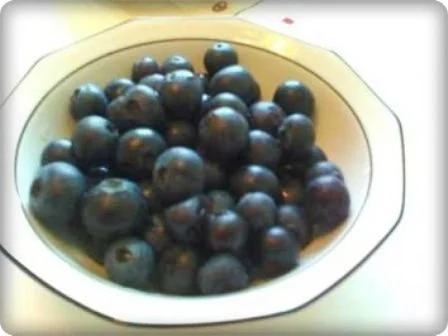 Rezept: WM 2010 : Johannisbeeren - Kefir Cocktail Bild Nr. 4 WM 2010 : Johannisbeeren - Kefir Cocktail - Rezept - Bild Nr. 4