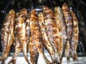 Marinierte Sardinen vom Grill - Rezept