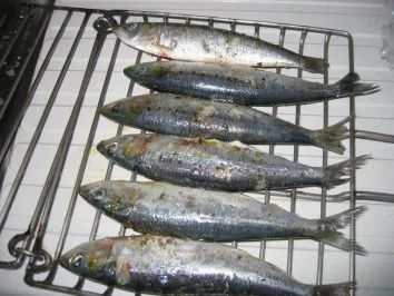 Rezept: Marinierte Sardinen vom Grill Bild Nr. 2 Marinierte Sardinen vom Grill - Rezept - Bild Nr. 2