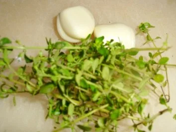 Marinierte Lamm-Beinscheiben mit Knoblauch-Limetten-Dip - Rezept - Bild Nr. 3