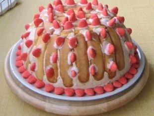 Rezept: Iglu Erdbeertorte Iglu Erdbeertorte - Rezept