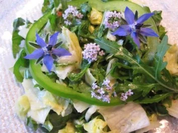 Salat in "Grün" ... - Rezept