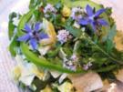 Salat in "Grün" ... - Rezept