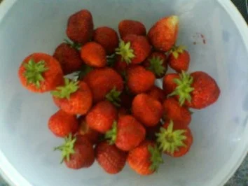 Rezept: Erdbeersorbet Bild Nr. 2 Erdbeersorbet - Rezept - Bild Nr. 2