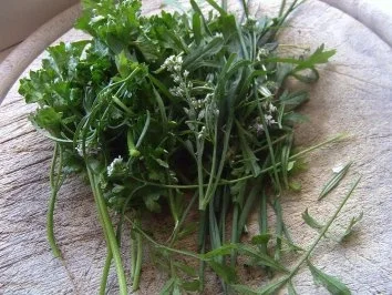 Kräuterbuletten - Rezept - Bild Nr. 2