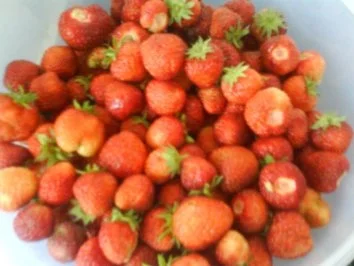 Erdbeer Daiquiri's - Rezept - Bild Nr. 2