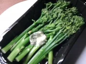 Was ganz was Neues - Rezept