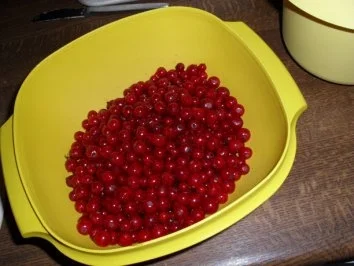 Johannisbeerkuchen - Rezept