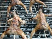 Wachtel vom Grill - Rezept - Bild Nr. 7