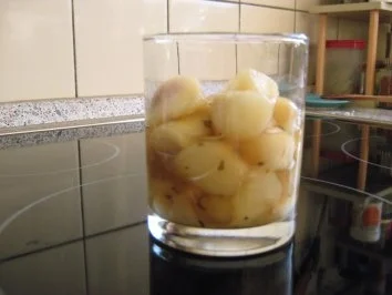 Rezept: Rgout von wilden Pfirsichen (Weinbergspfirsiche) Bild Nr. 4 Rgout von wilden Pfirsichen (Weinbergspfirsiche) - Rezept - Bild Nr. 4