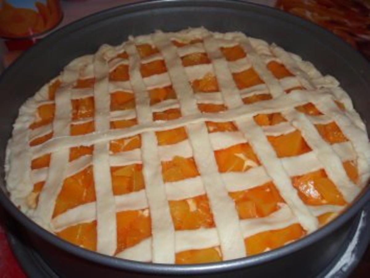 Torte: Aprikosen-Pudding-Torte - Rezept - Bild Nr. 6