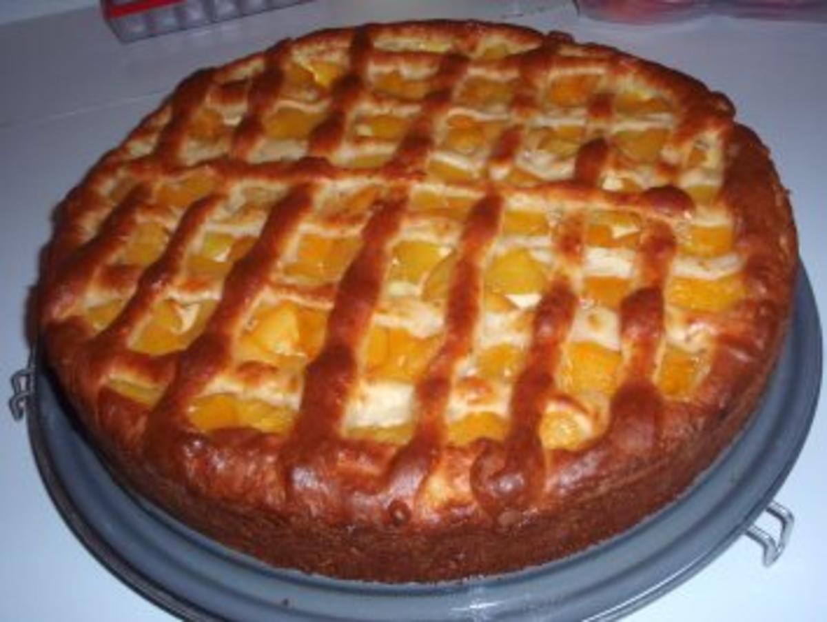 Torte: Aprikosen-Pudding-Torte - Rezept - Bild Nr. 7