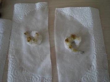 Basilikum-Kokossuppe mit Knuspergarnelen und Kokosrelish - Rezept - Bild Nr. 6