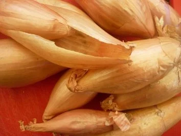 Rezept: Spanferkel-Krustenbraten aus dem Lavendelrauch mit Maultaschen und Bratschalotten Bild Nr. 6 Spanferkel-Krustenbraten aus dem Lavendelrauch mit Maultaschen und Bratschalotten - Rezept - Bild Nr. 6