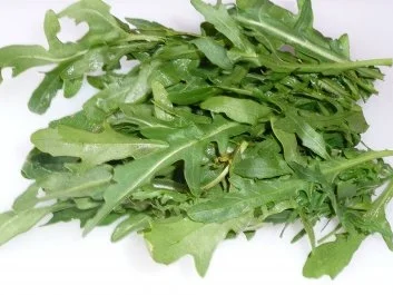 Rezept: Pasta: Penne mit Paprika-Peperoni-Rucolasoße Bild Nr. 3 Pasta: Penne mit Paprika-Peperoni-Rucolasoße - Rezept - Bild Nr. 3