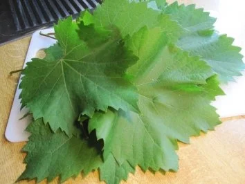 Gefüllte Weinblätter ... - Rezept - Bild Nr. 3